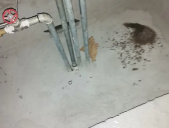 衡阳市卫生间测漏水价格明细