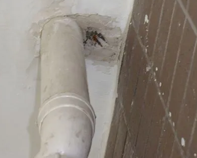 衡阳市漏水检测哪家好